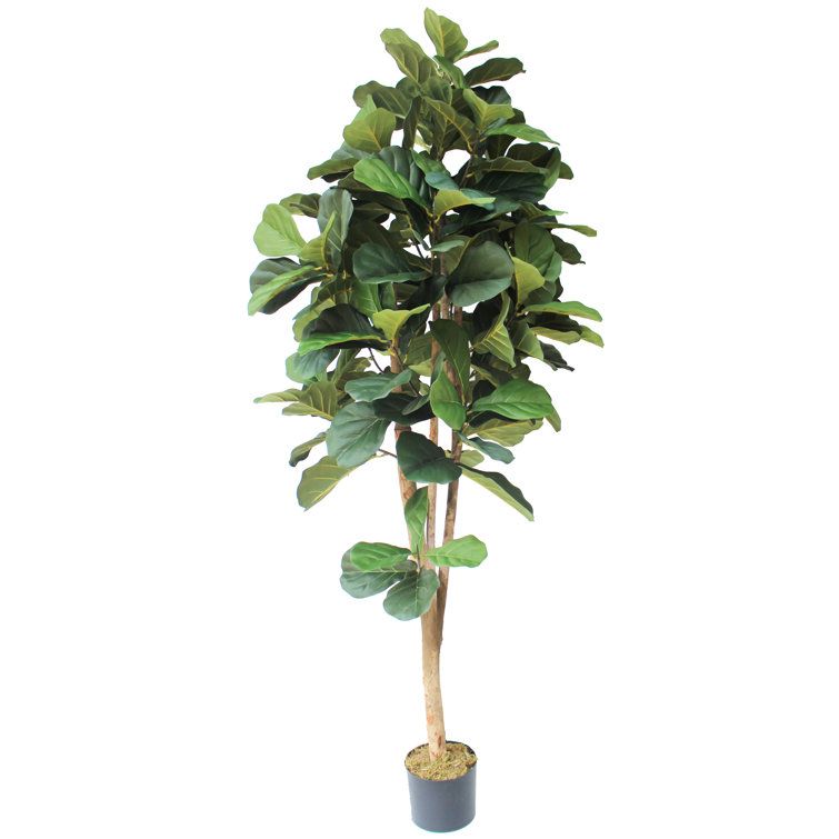 Gracie Oaks Silk Fiddle Leaf Fig Tree in Pot & Reviews Wayfair